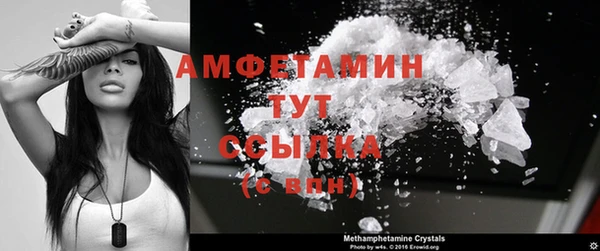 прущие грибы Армянск