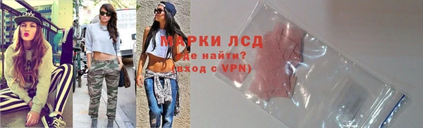 прущие грибы Армянск